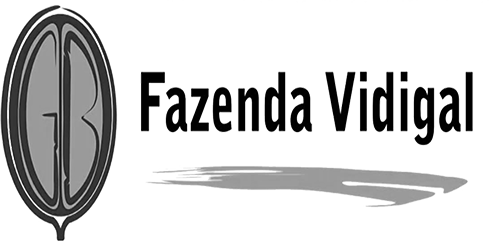 FazVidgal